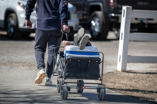 Chariot isotherme : transportez vos courses en toute fraîcheur